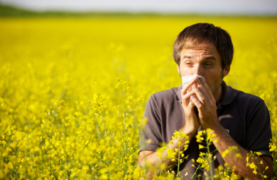 Существует ли надежная защита от пыльцы?